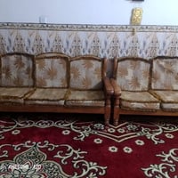 تخم • نضيف • زعفرانية