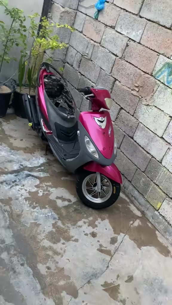 سلام وعليكم ماكس قجمه للبيع مكاني بصره مفتوحه فقط بستم. دراجه حلوه بلمشي ما موكفتني أشاير سكنات لايت ابيض اصفر صطاب وره كهربائيات كله شغاله ماعده سلف يرادله باتري.  سعرها 625بيها مجال تعجبك هلا بيك ماتعجبك اكو غيره لاتكسر *********** كفرات ختم واحد
