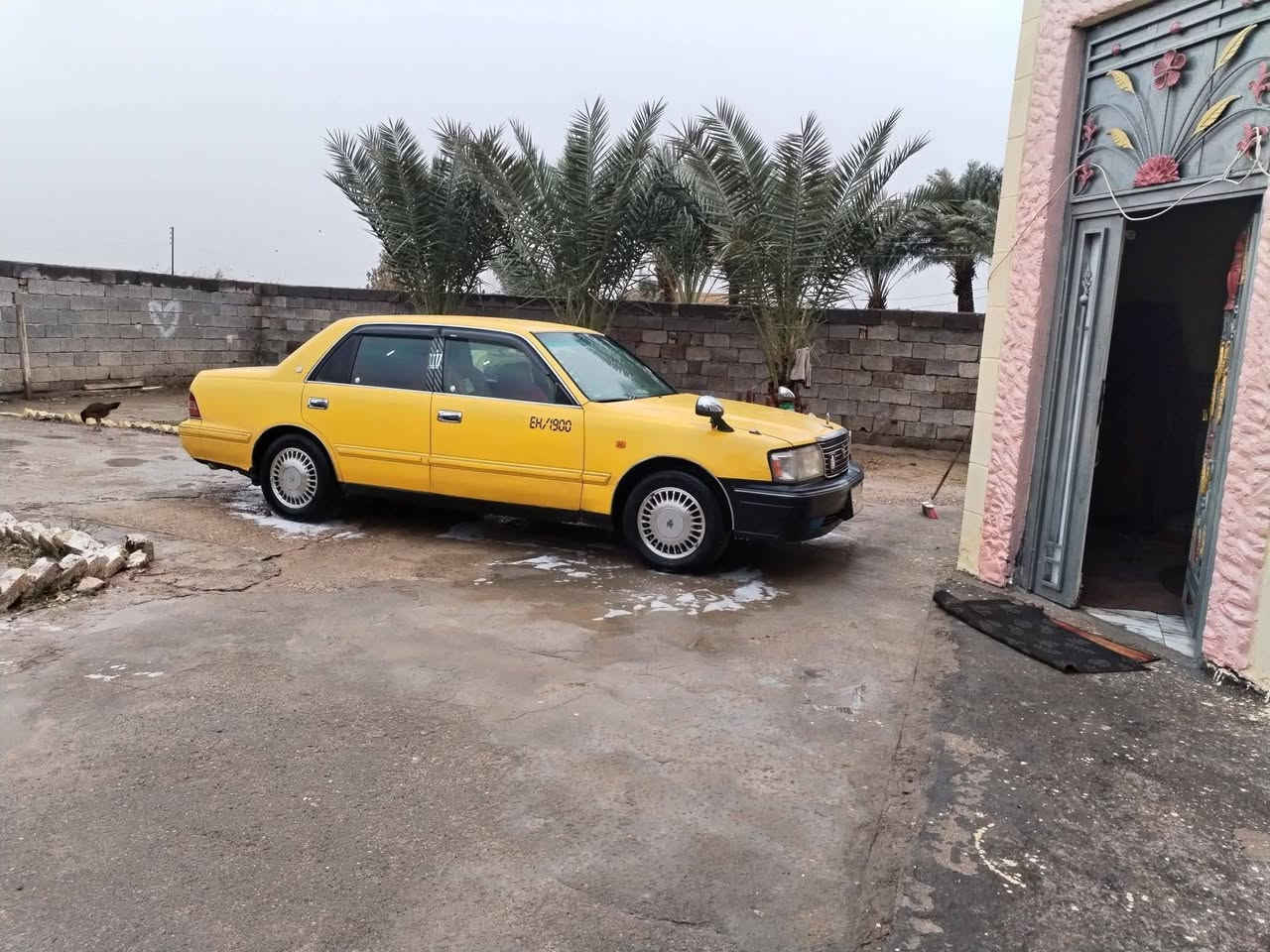 سلام عليكم راس ثور للبيع تكم مفوله رقم بصره لونها اسود تخم تاير جديد حداديه جديد مكينه وكير كفاله تبريد ثلج مكينه ٣٠٠٠ ففتي تخم بطاين جدد دشبول جديد شاشه البلاد لايت زنون سياره جاهزه بمعنه الكلمه مكان السياره ناصريه قلعت سكر / اتصل *********** / ***********
