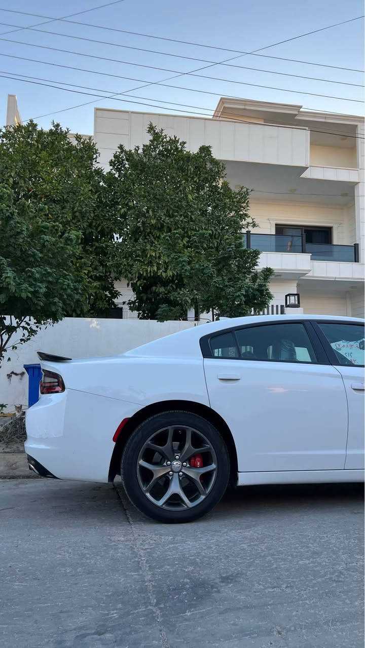 جارجر 2016 sxt كلين بدون قطره صبغ فقط بارد شبر بالباب ماشيه 120 حداديه تايرات كله جديد سياره جاهزه بدون نقص بس بيها تبديل كازكت مكانها كركوك
*********** كركوك, العراق
