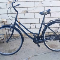 باسكل • حجم ٢٦ • جديد