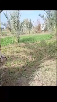 ٥ دوانم • طابو زراعي • قرب الشرطة الخامسة