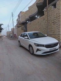 جيلي • ٢٠٢٤ • ورقة