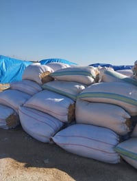 تبن للبيع شلفان ارتفاع 150وعرض 90ودكاك فول تبن شرط نضيف مال السنة  تبن...