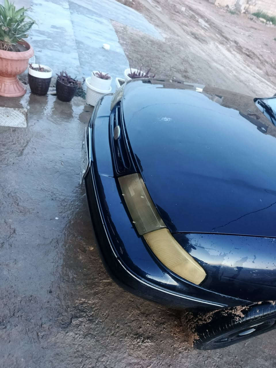 سلام عليكم سيفيه موديل 1994 كير شرط محرك بي تبخير او شرط التحويل اخياس ماكو تبريد فات شغال كنبريسر شغال فقط كهربائيات  ضربه قويه ماكو بيها بس هي وضحه بل صوره اي ستفسار *********** سعر 29 بيها مجال مكاني صلاح الدين سامراء يرحم ولديك مو شراي لاتتصل تحياتي للجميع
