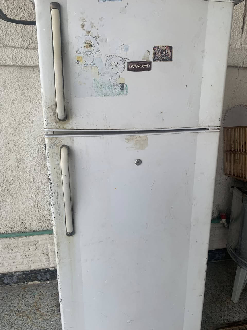 ثلاجه للبيع شغاله ثلج سعره75 حجم كبير مو صغيره


**إذا كنت صاحب هذا الإعلان وتريد حذفه لأي سبب، رجاءا أرسل رسالة إلى الدعم الفني**