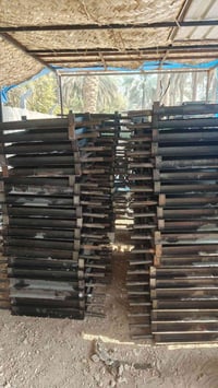 كربلاء • قالب شتايكر • ٥٠×٥٠