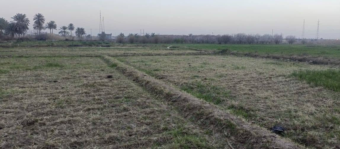 السلام عليكم
كاع للبيع شاطيه 
الازرگيه خلف السجه 
المساحه 6 دونم مباشر عالشط
للأستفسار
التواصل ***********
