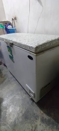 مجمدة • نظيفة • خوش نوعية