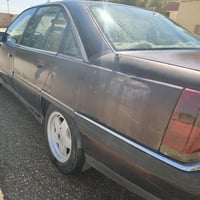 رقم نينوى • سنوية 2030 • صبغ سقف