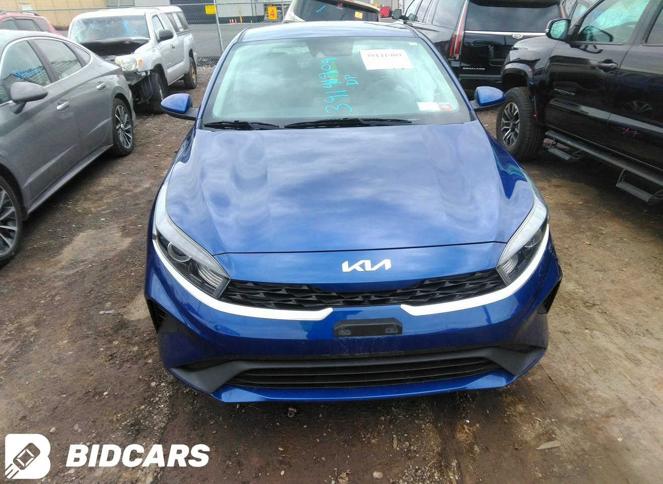 كيا فورتي موديل 2022
ماصارلي هواي من رقمتها  رقم اربيل بسمي
حادثها السياره جانبي والصور بلمنشور بجم كبس سياره جديده ماشيه 27ونص مشي امريكى 21
محرك 2000 دوش
السياره نص مواصفات
ماعروفها موصفاتها
 مكان بغداد القاهرة 
السعر 145بيه مجال 
***********
