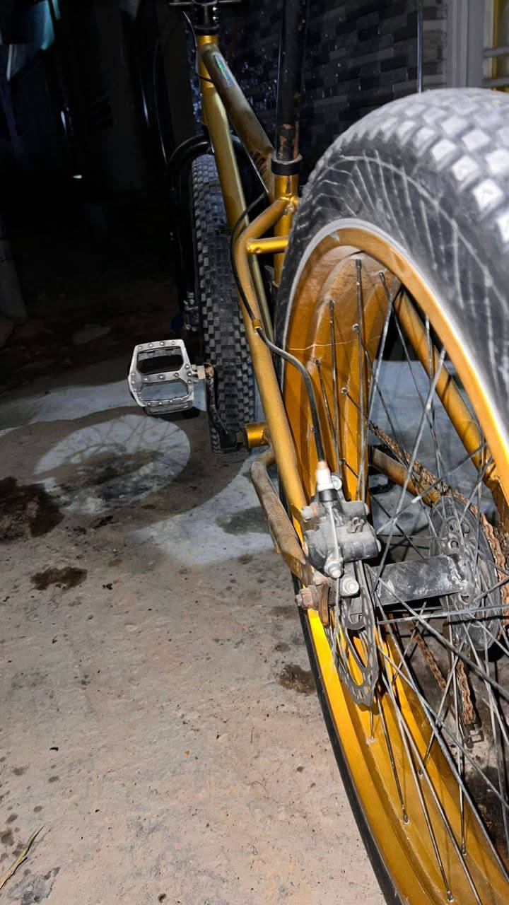 بايسكل دبابه للبيع ايطالي واصلي وصل الشراء موجود ومستعجل كلش على بيعته السعر 180 المكان حي العباس وهاذا الوحيد بكربله بهل حجم


**إذا كنت صاحب هذا الإعلان وتريد حذفه لأي سبب، رجاءا أرسل رسالة إلى الدعم الفني**