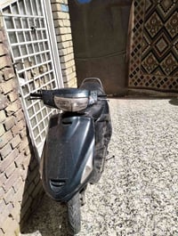 فراشة • شطرة