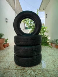 ٢٦٥/٦٥/١٧ • مستخدم نضيف • بغداد