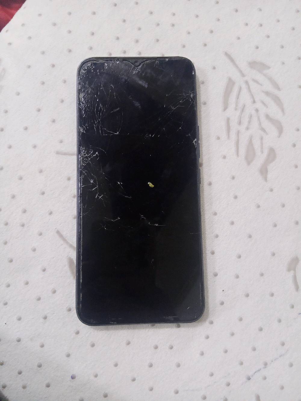 ديالى بعقوبة تحرير 