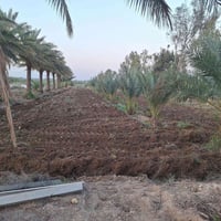 ١٠ دونم • طابو سند • واجهة ١٣٥م