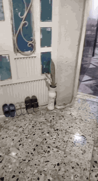 سلام عليكم بيت٥٠م الواجهة ٥ نزال ١٠ طابقين مسلح يحتوي ع كراج مدخلين وطابقين ستقبال مطبخ خدمات فوك غرفة وحولي سطحين سنة بناء ٢٠١٤  للبيع زراعي بداية شارع ابوماهر ٤بيت ع شارع العام منطقه  كامله  الخدمات تبليط مي كهرباء ارصفة خير من الله كولشي قريب عليك موقع ممتاز السعر ٨٥ بيه مجال متواجد فقط ع رقم ***********
