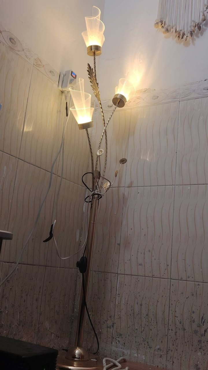 نظافتهن 90٪


**إذا كنت صاحب هذا الإعلان وتريد حذفه لأي سبب، رجاءا أرسل رسالة إلى الدعم الفني**