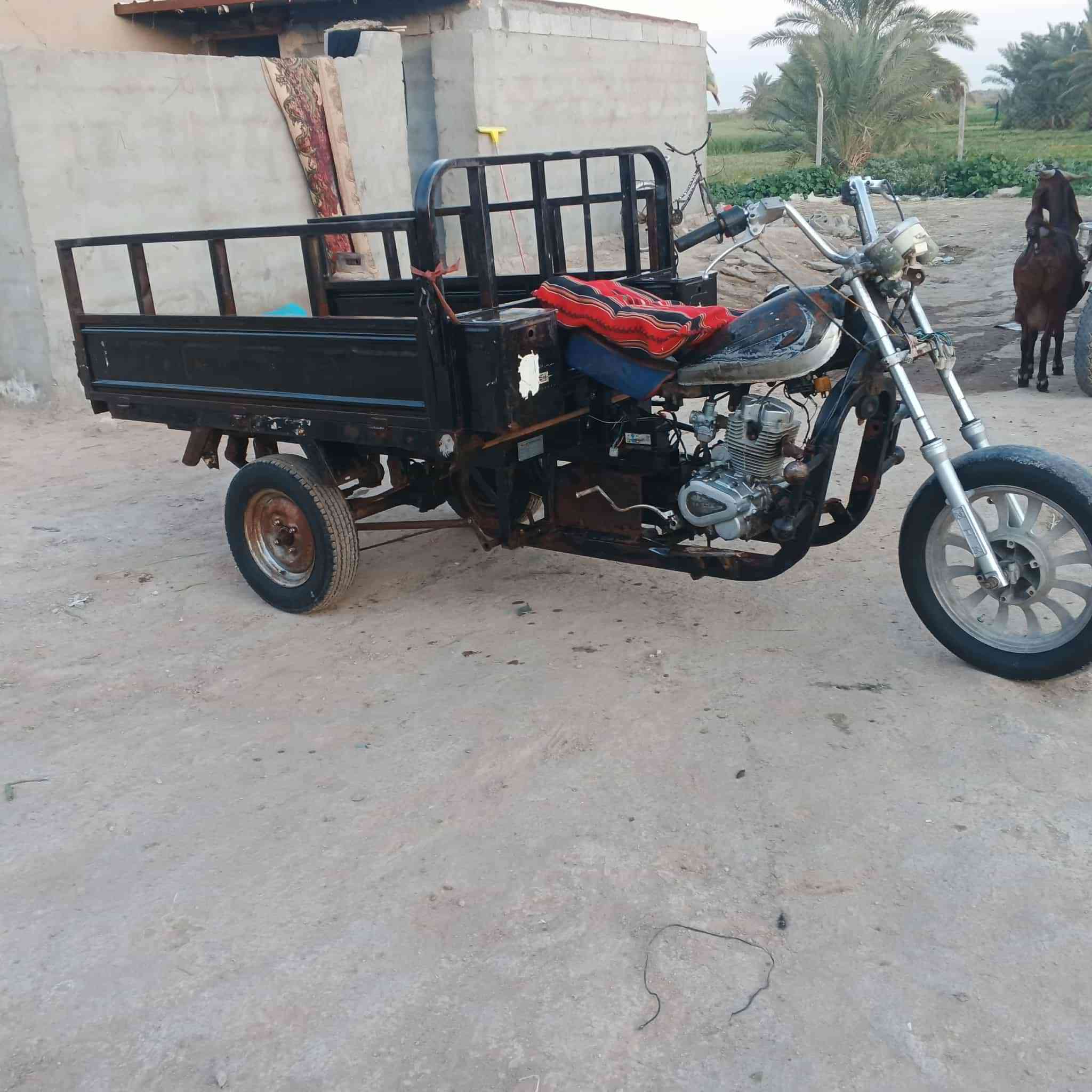 سلام عليكم شباب ستوتة للبيع كلك كلك مكفولة من السرقة 
السعر ٤٥٠ وبية مجال مكان ديوانية دغارة وهاذة رقمي***********
