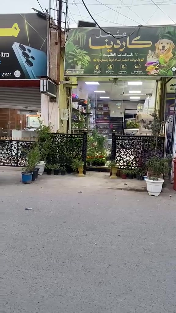 اللهم صل على محمد وال محمد تم افتاح مشتل كاردينا للنباتات الضلية ولحيوانات اليفة واسماك الزينة ومستلزماتها  المكان السريدات الخفاجة قرب مركز علي البغدادي تتوفر خدمة توصيل داخل السريدات ولمناطق المجاورة ***********
