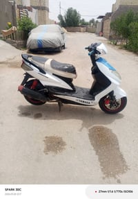 سكنس فحل • ياباني • جاهز