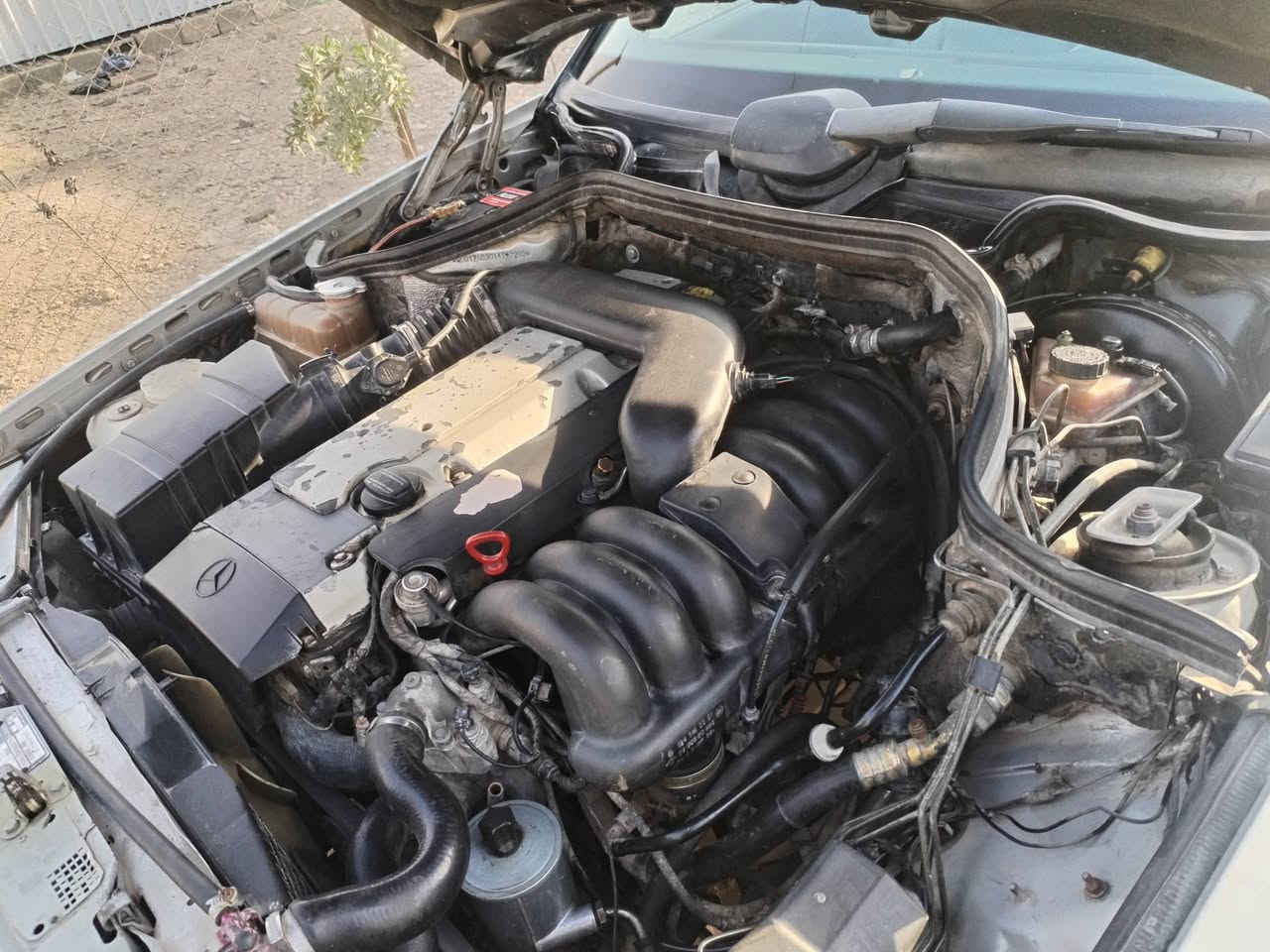 سلام عليكم
مارسدس دب مديل ٨٨محدث ٩١ بيبي شبح مكينه خراطيم ٣٢٠كير ومكينه جدد تخم تاير جديد صدر جديد غرفه جلد جديده كراسي كهرباء  اريل كهرباء برده كهرباء رقم جديد سنويه تحويل مباشر بسمي سياره عنوان بغداد اذا اكو مراوس كمارو ١٥ وجوه راس براس اراوس ***********
