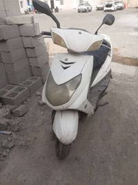 دراجه سكنز فحل عاطله ليبيع لستفسار على الرقم 07710956724