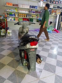 ماكس منغولي • ٢٠٠٨ • نضيفه