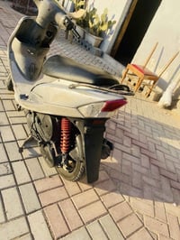 ماكس منغولي • مدينة الصدر • مكفولة