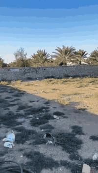 للبيع ارض زراعية مساحه 600م
في منطقة ال نياز  تبعد عن النهر 400 متر
التفاصيل اكثر بالفديوهات
للاستفسار ‭0785 505 1021‬
