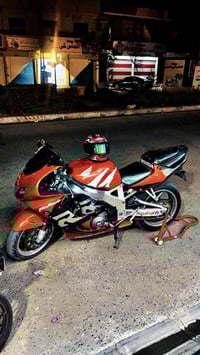 919 • مشمشي • كركوك