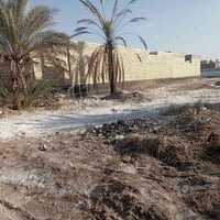 ارض زراعي • ٢٥٠م • شارع الجشعمين