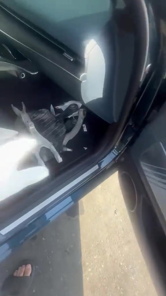 جنيسز وارد كوري
6 سلندر 3500
فول مواصفات 
عدى البانوراما 
غراضها كاصهن وياها 
أقل الشهر توصل 
السعر 160 بمكانها 
***********
