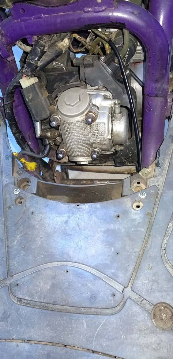 ماكس منغولي بوشة 52 ونص دراجة فول نعومة سعر 350 بيهة مجال ما متواجد خاص رقمي ***********
