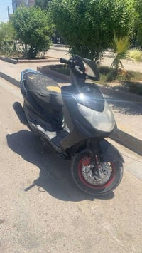 سكنس فحل للبيع السعر 450 مكاني بغداد شعله 07760353503