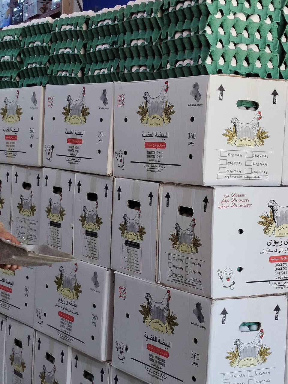 السلام عليكم زبائننا الكرام 
تم وصول بيض عراقي إنتاج جديد سعر الطبقه#_4000 
#_عروض_رمضان_ماتخلص_
الفرع الأول #محلات_المشعان_مقابل_كماليات_العائله
الفرع الثاني 
#مجمع_المشعان_وسط_السايدين
للإستفسار الاتصال ***********
