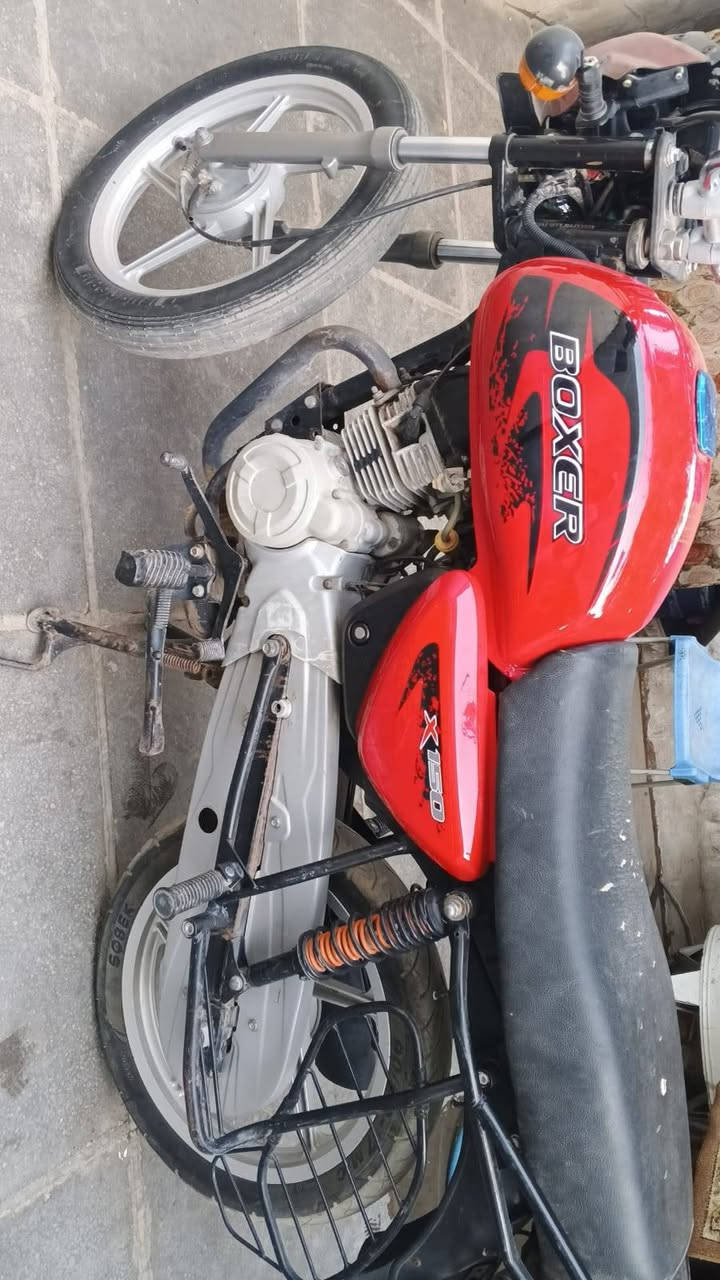 دراجه بوكسر كلاسك 2018
كامله شغاله  اوراق ضايعه 
ابيع كوم حديد اكفلك سرقه 
العنوان بغداد ‏‪0775 147 7085‬‏
