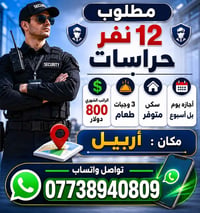 أربيل • واتس • وظيفة