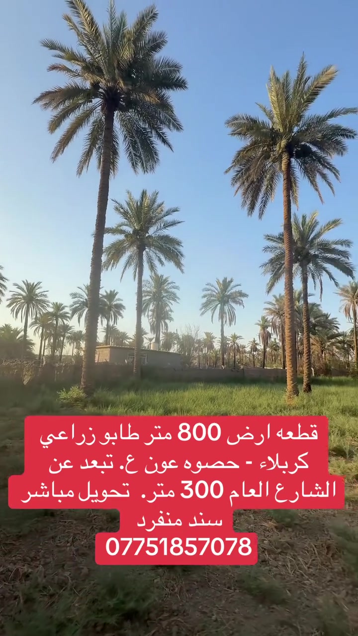 الاستفسار ***********
