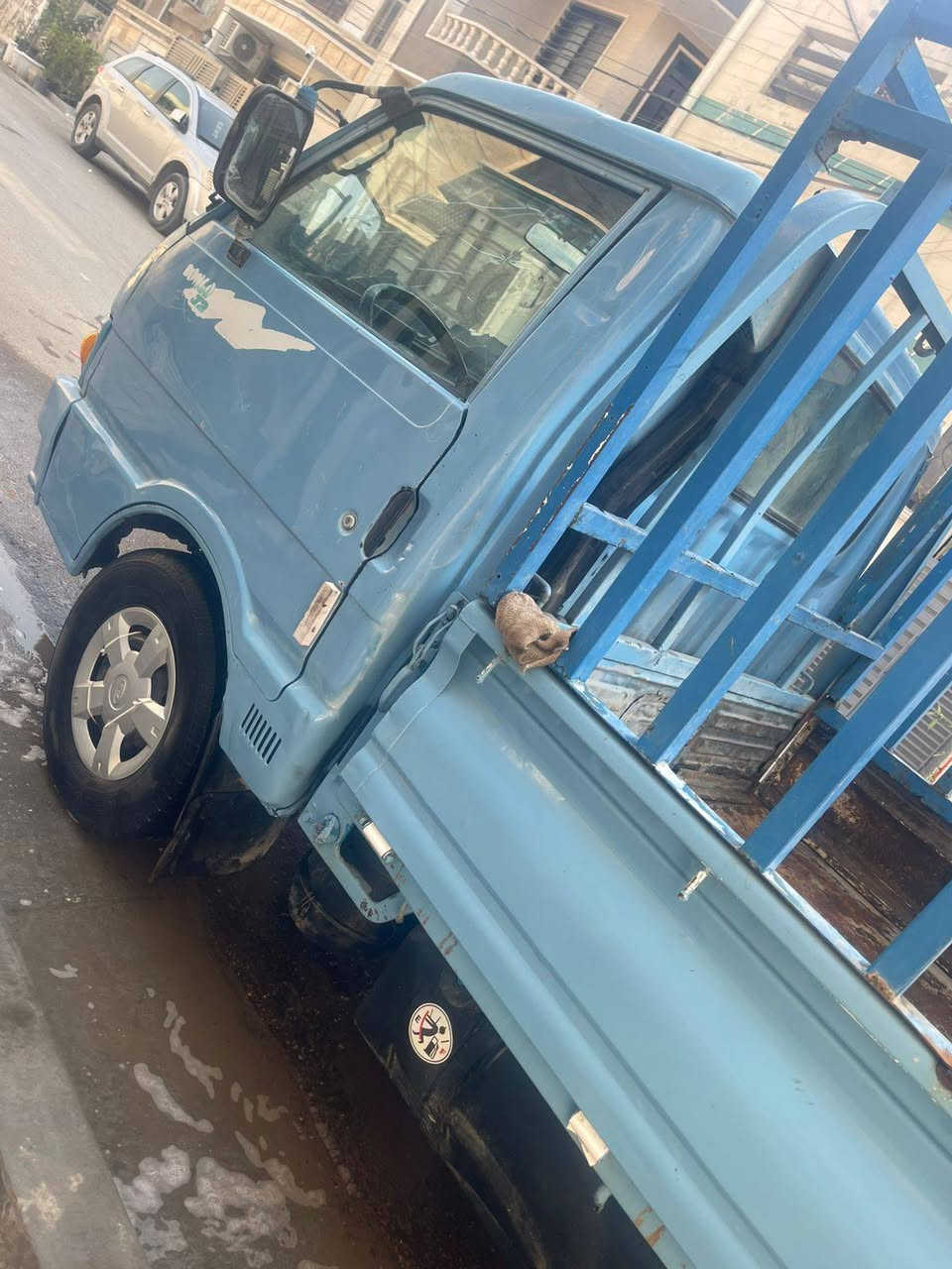 سبب وعود كاذبه اعيد نشر 
السلام عليكم كيا بنكو 96 
7 جنكال كير محرك في حاله جيده 
تخم تاير جديد 
باتري داينمو سلف بلكات مدكه جدد 
تحويل مباشر شرط تحويل رقم الانبار 
رقم شاصي شعار قماره بدي سنويه مثبت 
شاصي مكفول من كص ولحيم 
مكفوله من ضربه فقط بدي مصبوغ 
كهربائيّة لايتات ماسحات مسجل سماعات كله شغاله 
سنويه 25 منتهيه صاحبها يريد تحويل 
سعر 46 بيها مجال تعال شوف اقتنع تشلع اعيوني 
مكاني بغداد الغزاليه ***********
