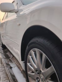 شاهينه • أوراق جاهزة • النجف