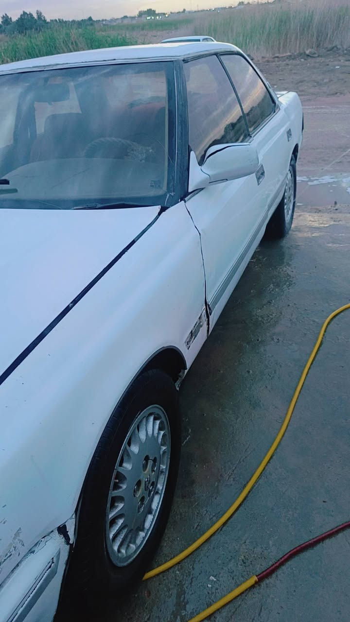 سلام عليكم مارك عضم مكفوله من كص ونقل جثه رقم بغداد بسمي مشروع وطني مكينه ونجي ناعم حداديه 50 بلميه مكينه وكير طبكه جديده سياره مديل 91 تخم تاير جديد مكاني نجف بصخير شباب اني مكلف بنشر لحد يراسني مارد علمراسله هاذ رقم راعيه نتصل وبيك خير وتدلل *********** سعر 35 وبيه مجال
