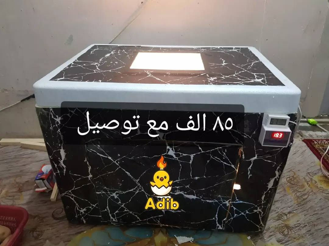 🔥 مفاقس ADIB – جميع الأحجام متوفرة 🔥
🚚 توصيل لجميع محافظات العراق

🔹 مفاقس فلين بضمان
حرارة ورطوبة أوتوماتيك
تقليب يدوي سهل (يعني كلها أوتوماتيك عدا التقليب)

🥚 مفاقس السعة الكبيرة:

▪️ 95 بيضة — 70 ألف
▪️ 110 بيضة — 75 ألف
▪️ 160 بيضة — 80 ألف
▪️ 200 بيضة — 90 ألف
▪️ 250 بيضة — 95 ألف
▪️ 350 بيضة — 125 ألف

🥚 مفاقس السعة الصغيرة:

▪️ 20 بيضة — 40 ألف
▪️ 35 بيضة — 45 ألف
▪️ 50 بيضة — 50 ألف
▪️ 55 بيضة — 55 ألف
▪️ 75 بيضة — 60 ألف

⚙️ مفاقس فول أوتوماتيك (ضمان):

▪️ 56 بيضة فول أوتوماتيك — 135 ألف
▪️ 100 بيضة فول أوتوماتيك — 150 ألف

✅ جميع الأحجام متوفرة
✅ مناسبة للتفقيص المنزلي والمشاريع

📞 واتساب: ***********
🎥 تيك توك: @.adib42

🔥 ADIB – خبرة، ضمان، ونتائج 🔥
