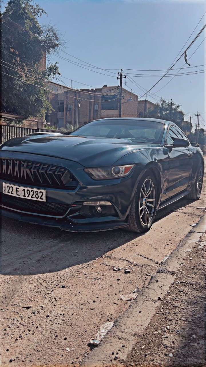 موستنك 2016 V6
وارد كندي 
صبغ احزام 
ضرر لغد جهة السايق مصبوغ 
محرك جديد 
صدر امامي وكالة جديد 
صدر خلفي وكالة جديد
لويات دبلات وكالة جديد 
منضومة ماء كلها جديده 
ادامة محرك جديده 
كلهن شغل علي الصميدعي 
دوشمة جلد احمر جديده 
بطانة جاملغات جديده
درع جديد 
برمجة سيف تيتو 
 سعر 117  
***********
