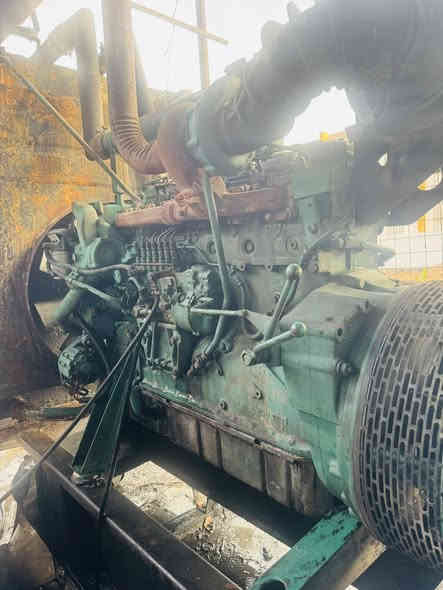 فالفو دي 10 شغاله شرط توليد 250 انجه الأصلي للاستفسار***********  مكانها السماوه رميثه
