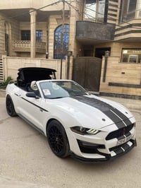 موستنك كشف • ٢٠٢٠ • رقم سليمانية