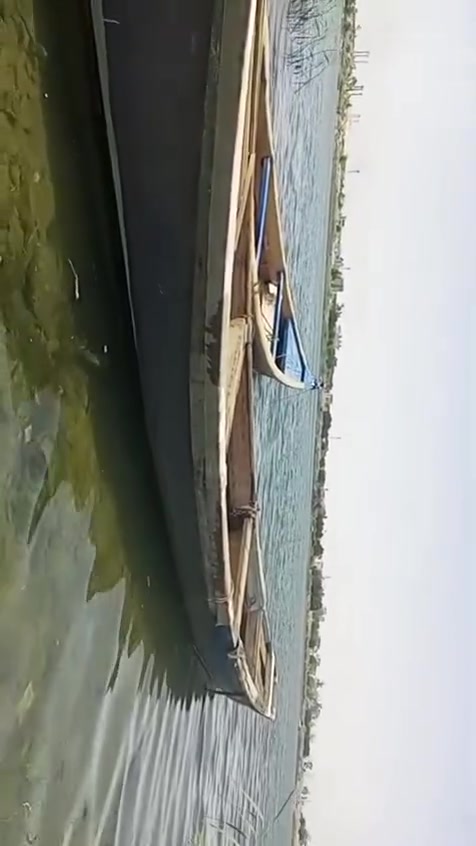 سلام عليكم ورحمة  چينكو للبيع فافون  البصرة بشط العرب  قرب جسر خالد، السعر750


**إذا كنت صاحب هذا الإعلان وتريد حذفه لأي سبب، رجاءا أرسل رسالة إلى الدعم الفني**