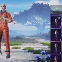 نجف • مشحون • ٨ مواسم