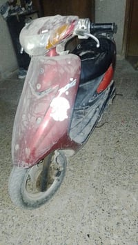 عندي ثنين عصفوريات واحده مفصخه بس كامله هيه والكفرات ملاته الونه الدرا...