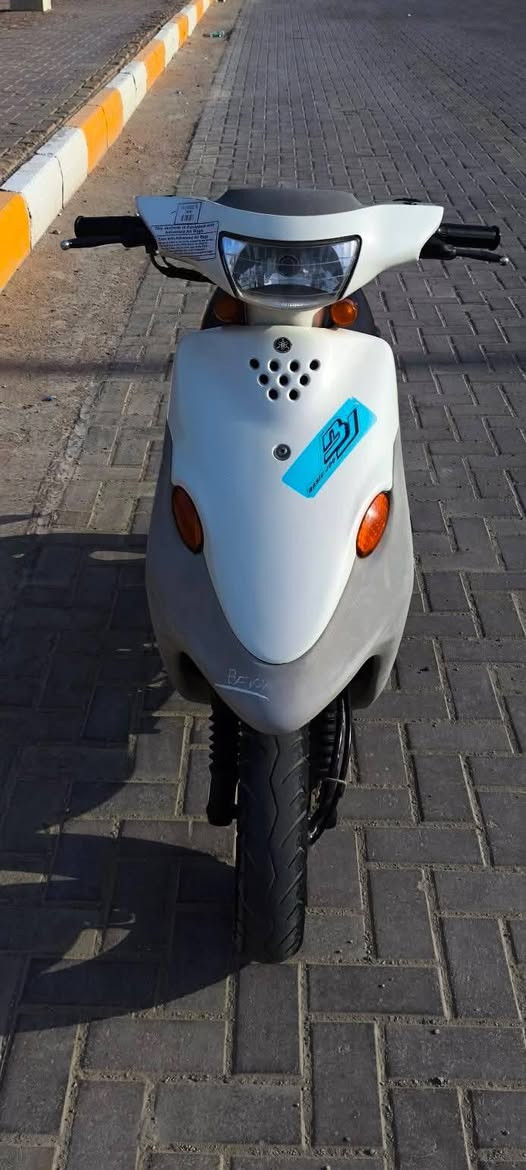 بيجي فحل حاويه للبيع ***********ماتواجد فيس
